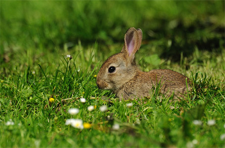 vergr&ouml;&szlig;ern