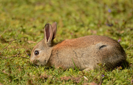 vergr&ouml;&szlig;ern