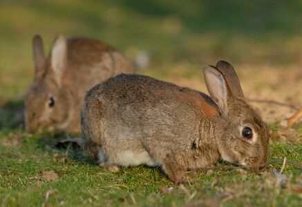 vergr&ouml;&szlig;ern