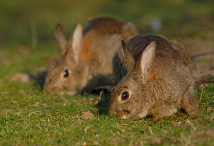 vergr&ouml;&szlig;ern