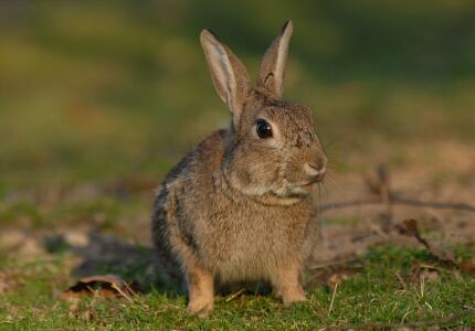 vergr&ouml;&szlig;ern