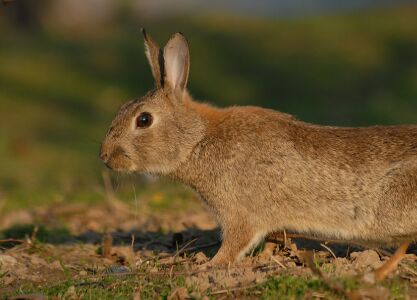 vergr&ouml;&szlig;ern