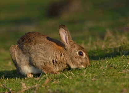vergr&ouml;&szlig;ern