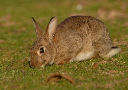 vergr&ouml;&szlig;ern