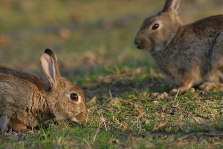 vergr&ouml;&szlig;ern