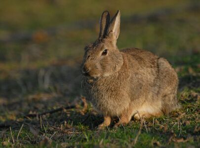vergr&ouml;&szlig;ern