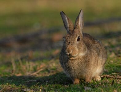vergr&ouml;&szlig;ern