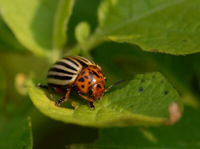 vergr&ouml;&szlig;ern