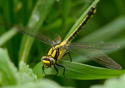 vergr&ouml;&szlig;ern