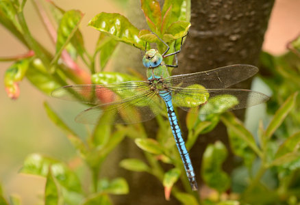 vergr&ouml;&szlig;ern