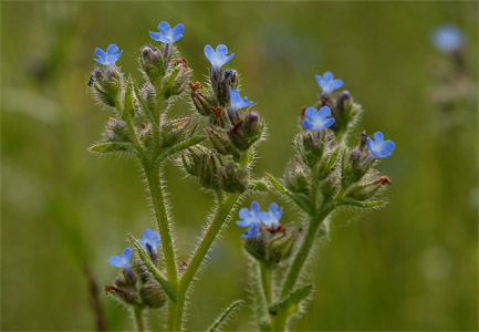 vergrößern