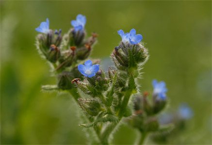 vergrößern