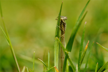 vergr&ouml;&szlig;ern