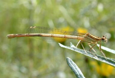 vergr&ouml;&szlig;ern