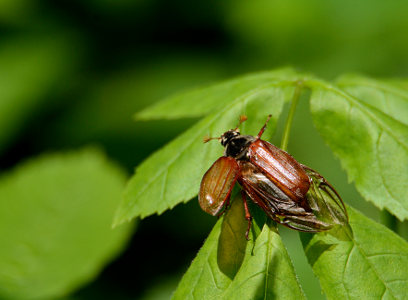 vergr&ouml;&szlig;ern