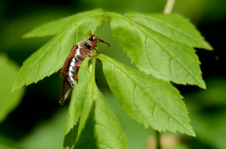 vergr&ouml;&szlig;ern