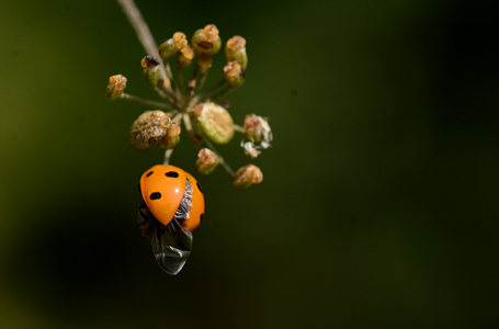vergr&ouml;&szlig;ern
