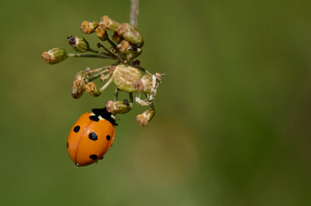 vergr&ouml;&szlig;ern