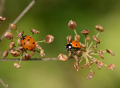 vergr&ouml;&szlig;ern