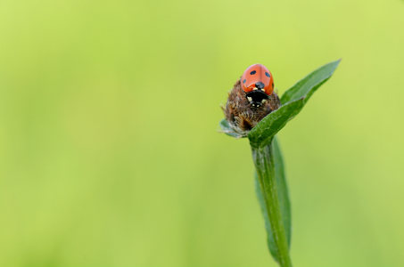 vergr&ouml;&szlig;ern