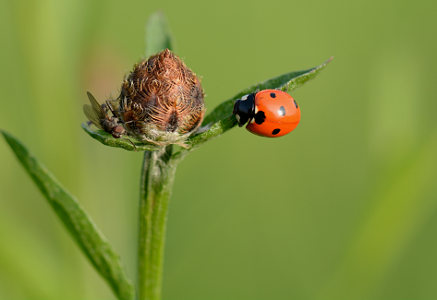 vergr&ouml;&szlig;ern