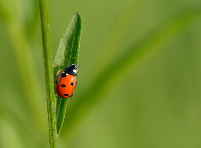 vergr&ouml;&szlig;ern