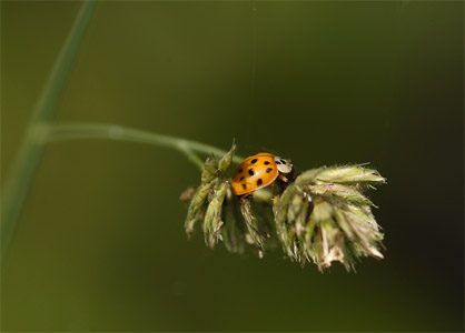 vergr&ouml;&szlig;ern