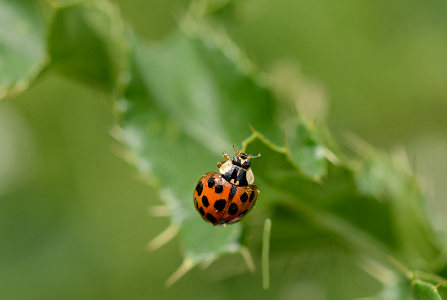 vergr&ouml;&szlig;ern
