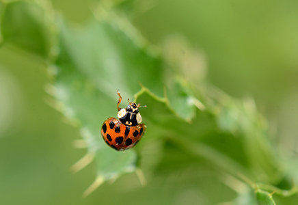 vergr&ouml;&szlig;ern