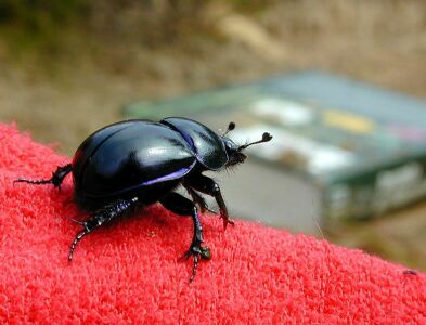 vergr&ouml;&szlig;ern