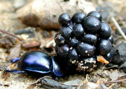 vergr&ouml;&szlig;ern