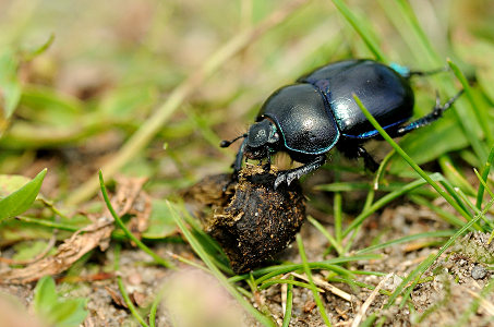 vergr&ouml;&szlig;ern