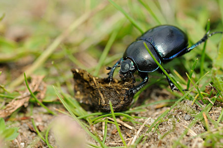 vergr&ouml;&szlig;ern