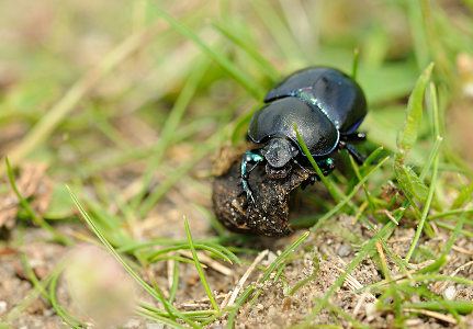 vergr&ouml;&szlig;ern