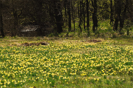 vergrößern