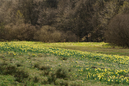 vergrößern