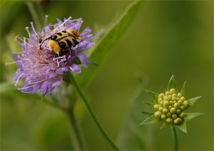 vergr&ouml;&szlig;ern