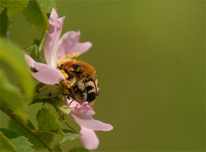 vergr&ouml;&szlig;ern