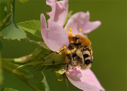 vergr&ouml;&szlig;ern