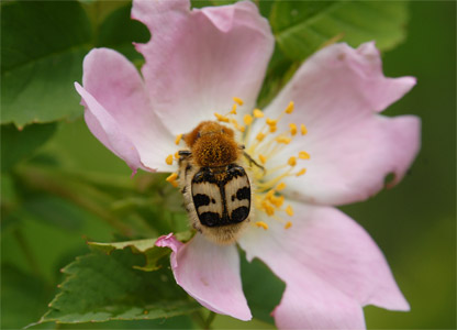 vergr&ouml;&szlig;ern