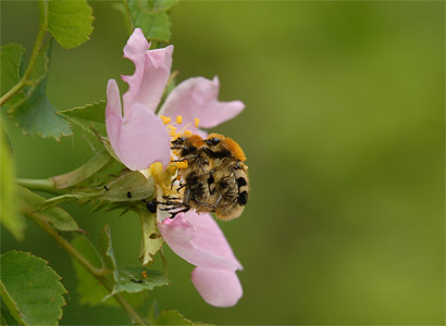 vergr&ouml;&szlig;ern