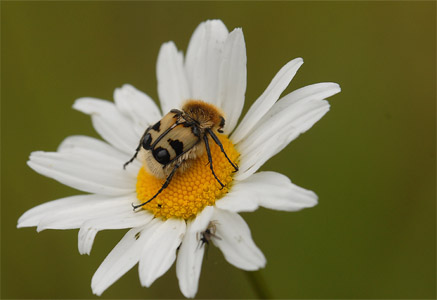 vergr&ouml;&szlig;ern