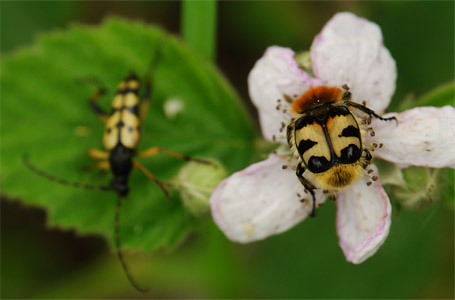 vergr&ouml;&szlig;ern