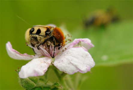 vergr&ouml;&szlig;ern