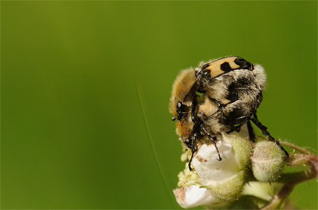 vergr&ouml;&szlig;ern