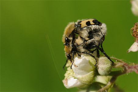 vergr&ouml;&szlig;ern