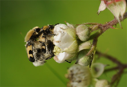 vergr&ouml;&szlig;ern