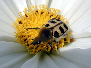 vergr&ouml;&szlig;ern