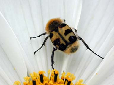 vergr&ouml;&szlig;ern