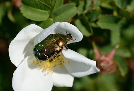 vergr&ouml;&szlig;ern